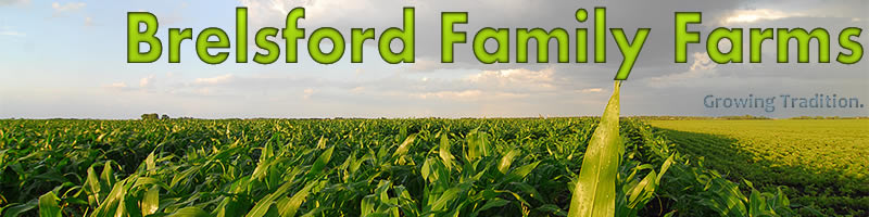 Brelsford Family Farms Logo